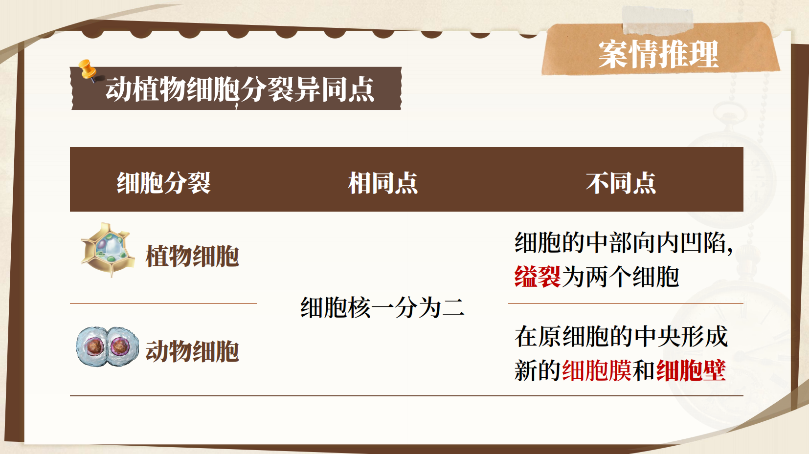 预览图 12
