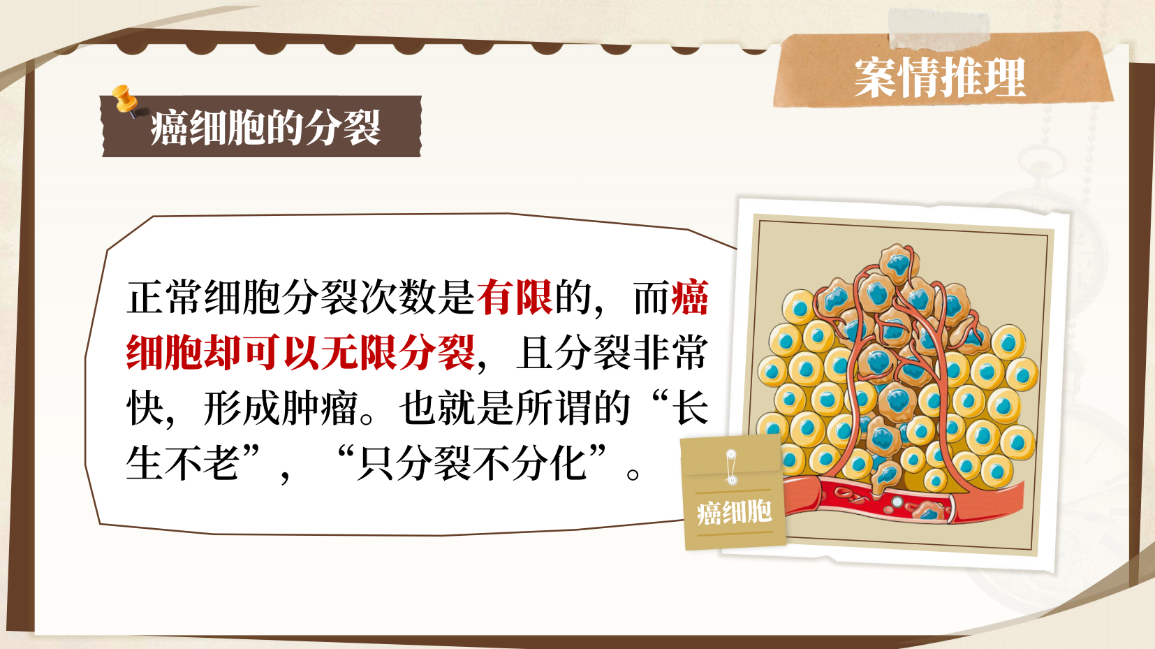 预览图 13