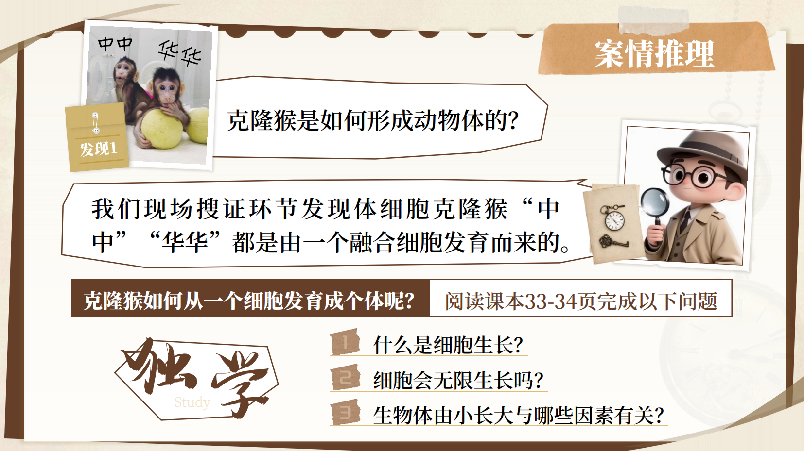 预览图 7