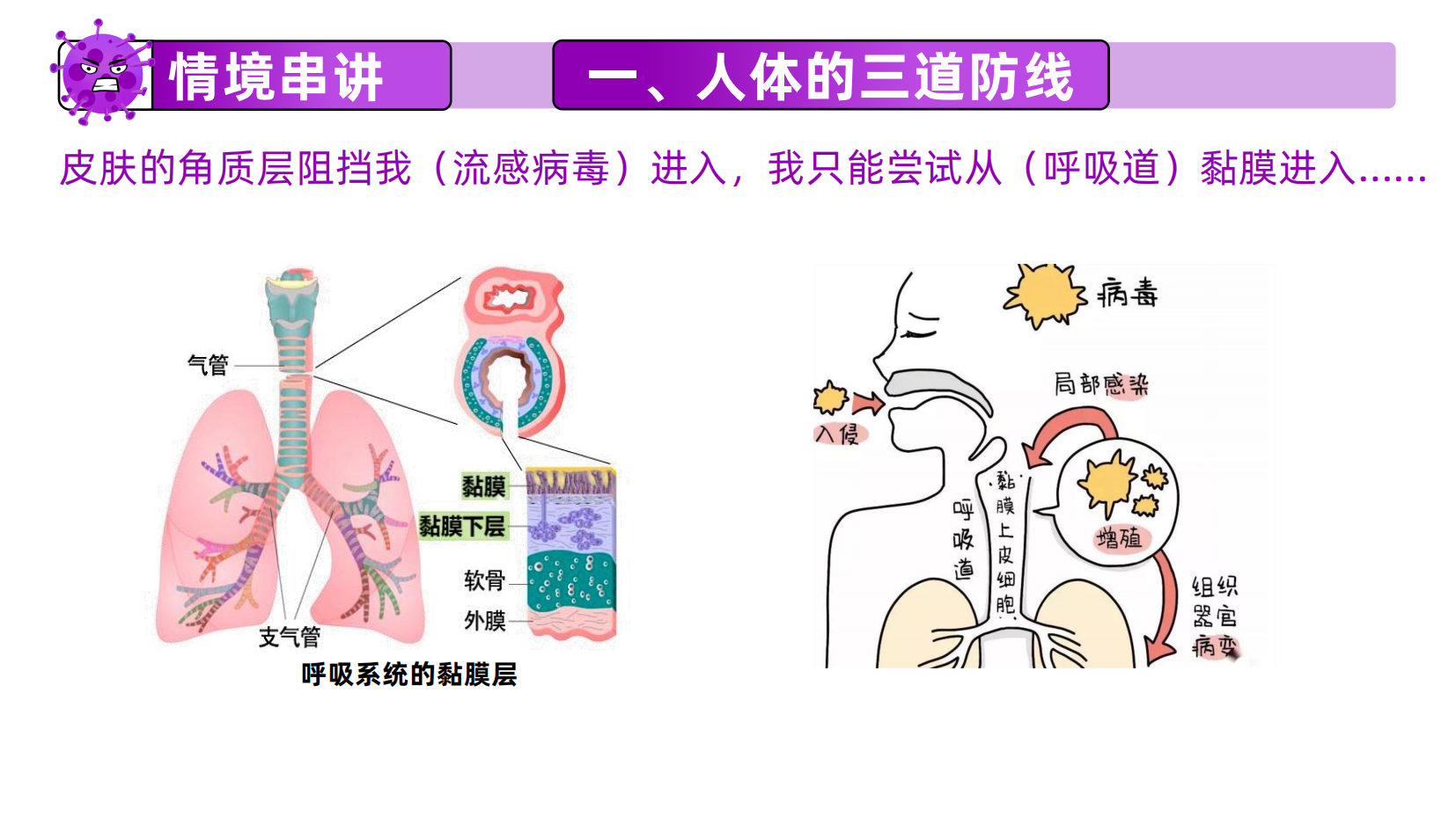 预览图 10