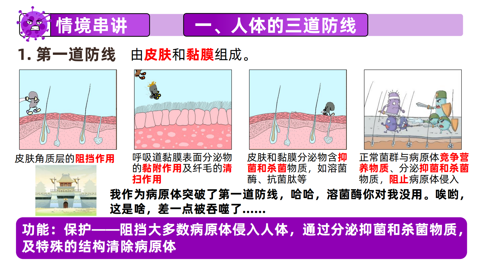 预览图 11