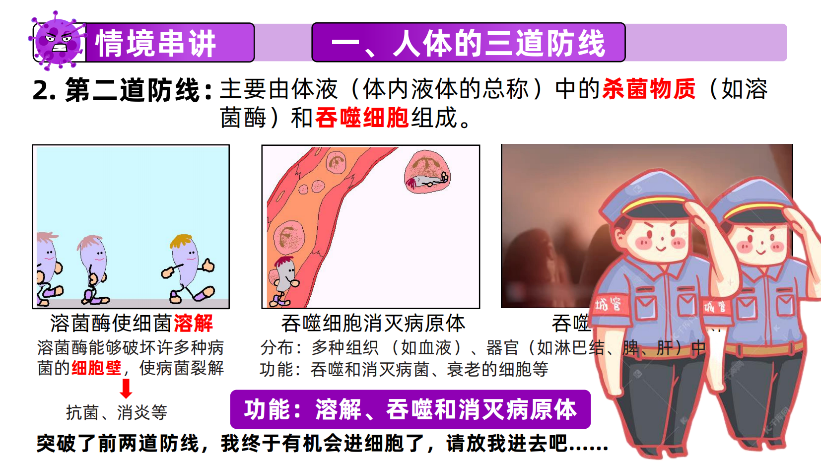 预览图 12