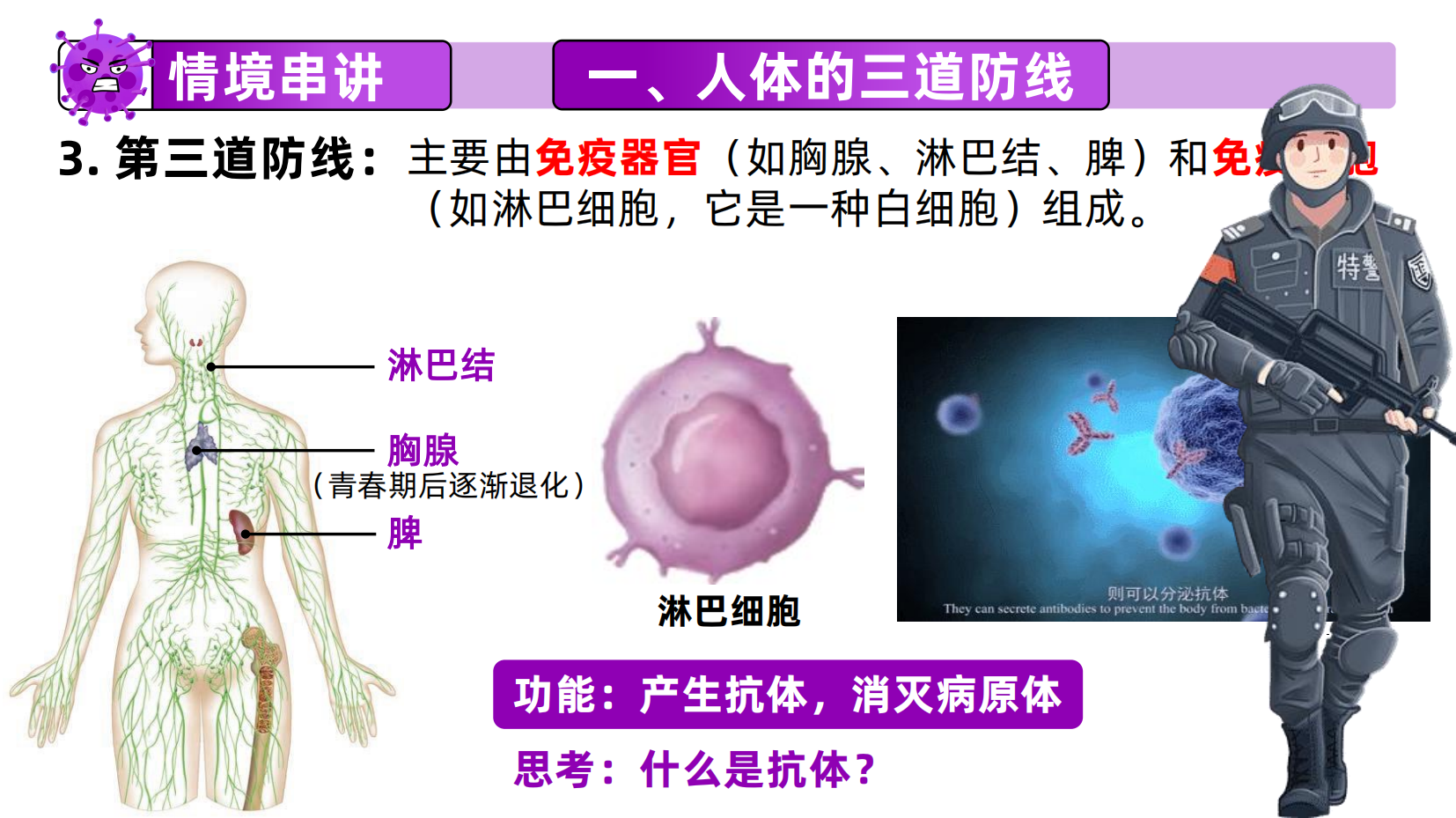 预览图 13