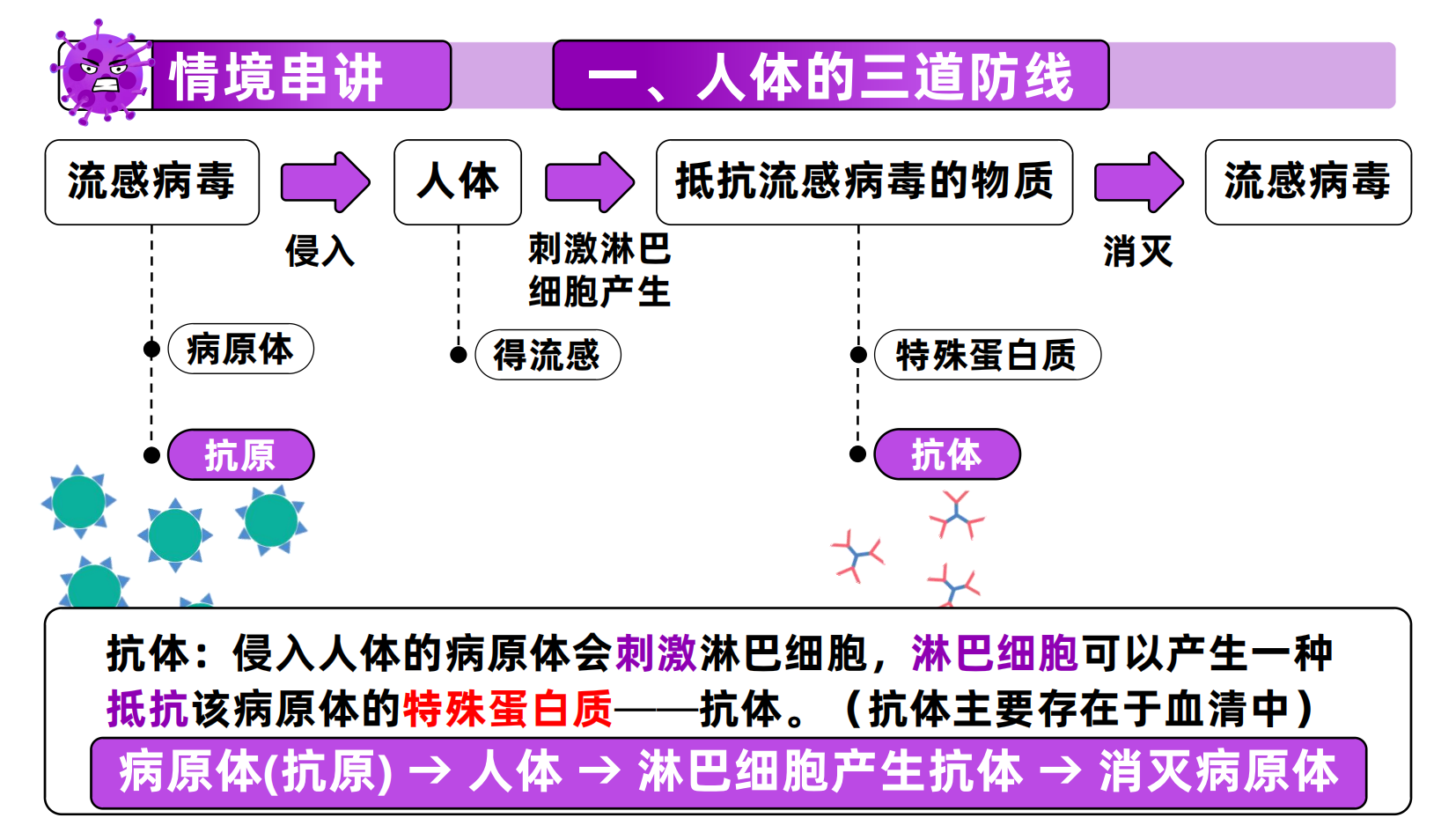 预览图 14