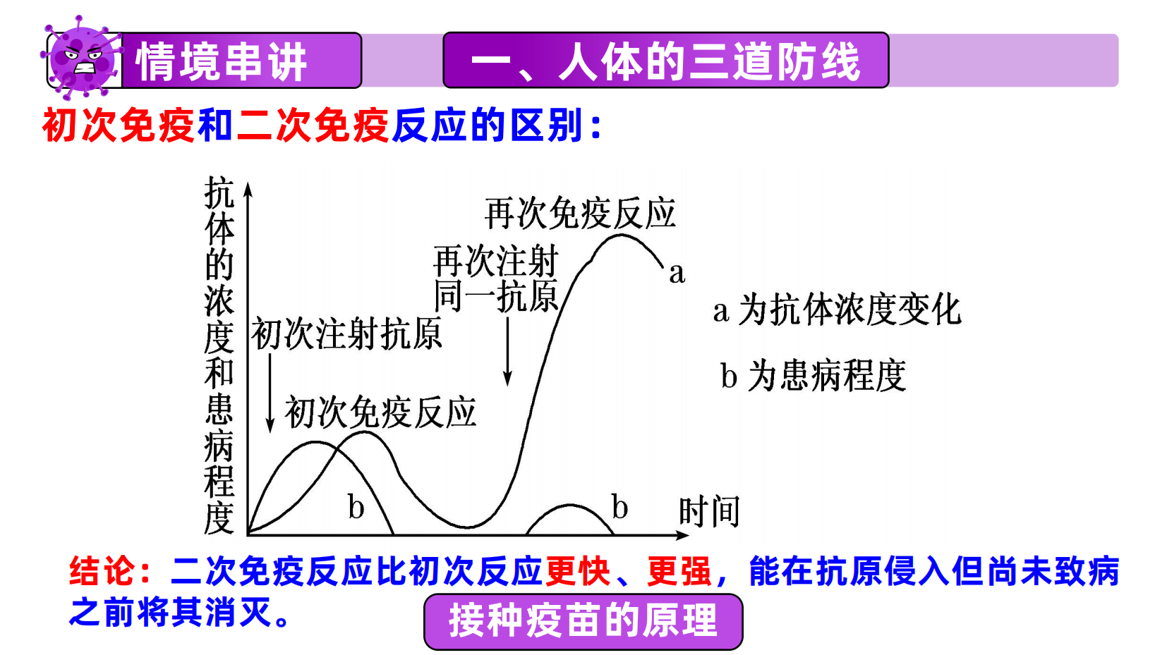 预览图 16