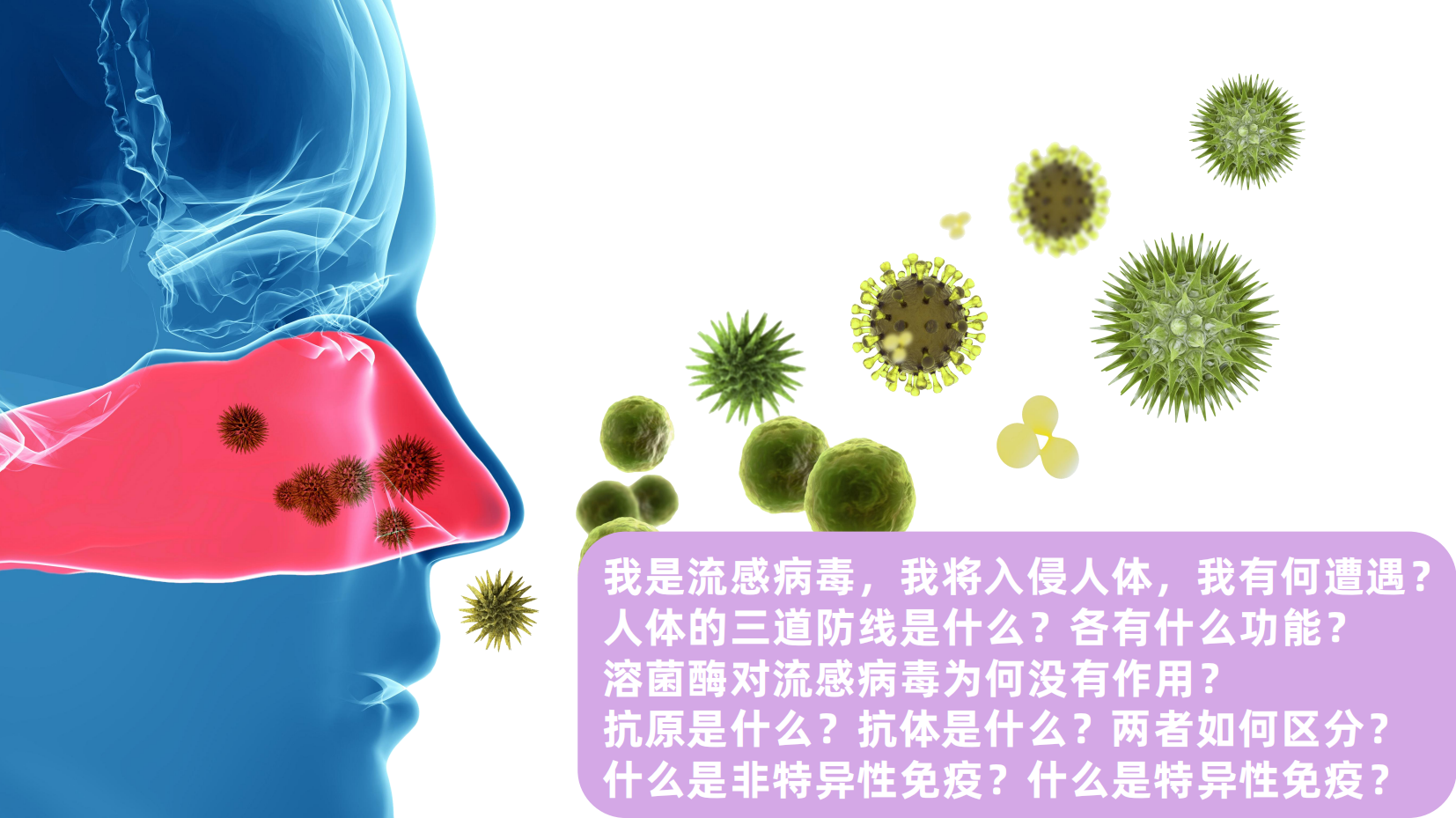 预览图 4