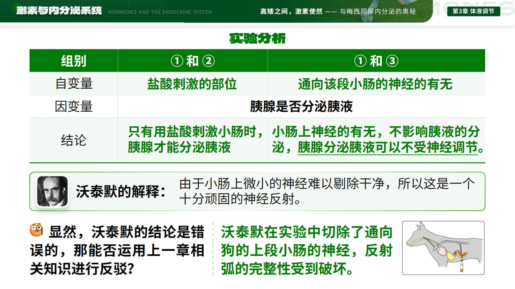 预览图 11