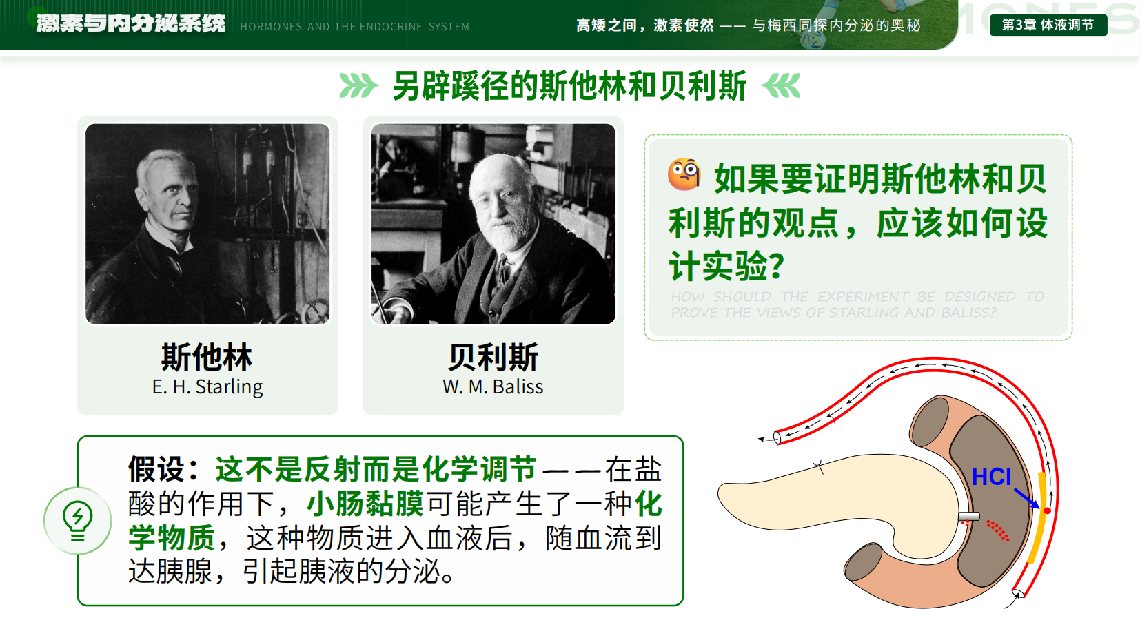 预览图 12