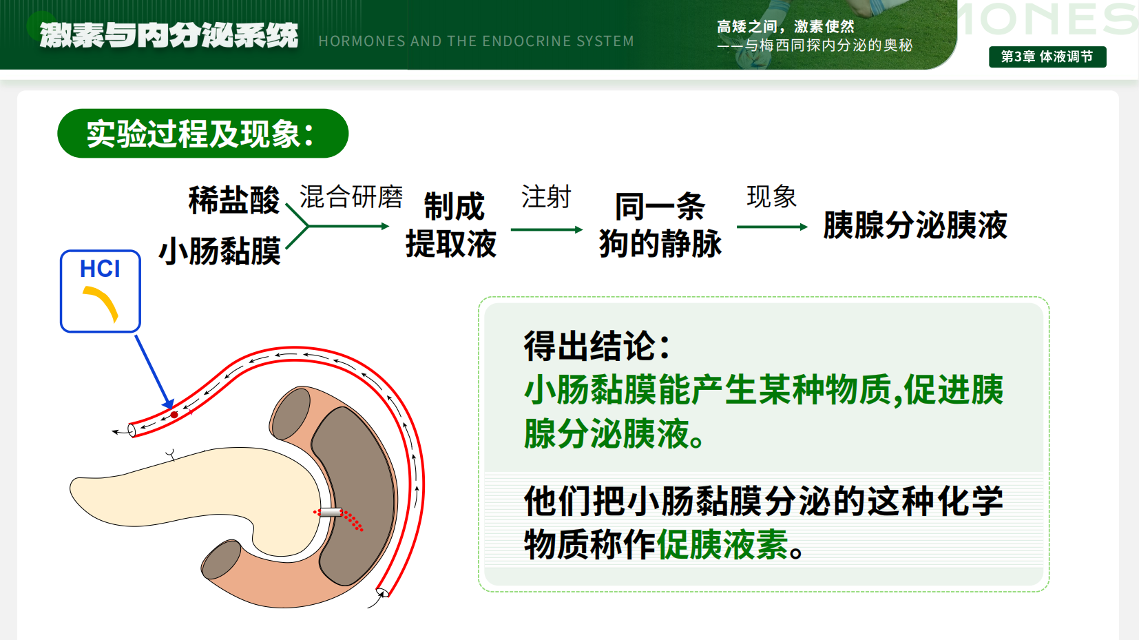 预览图 13