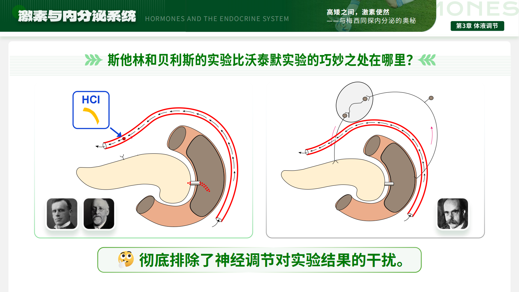 预览图 15