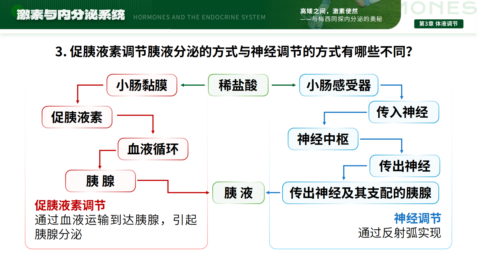 预览图 16