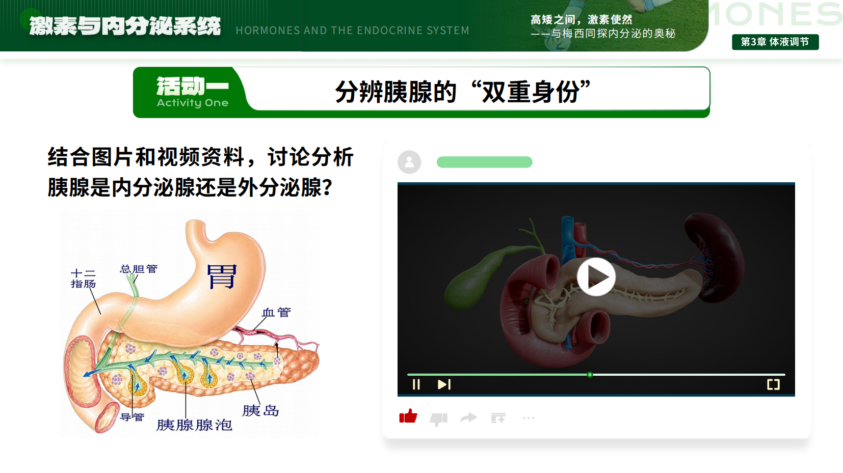 预览图 5