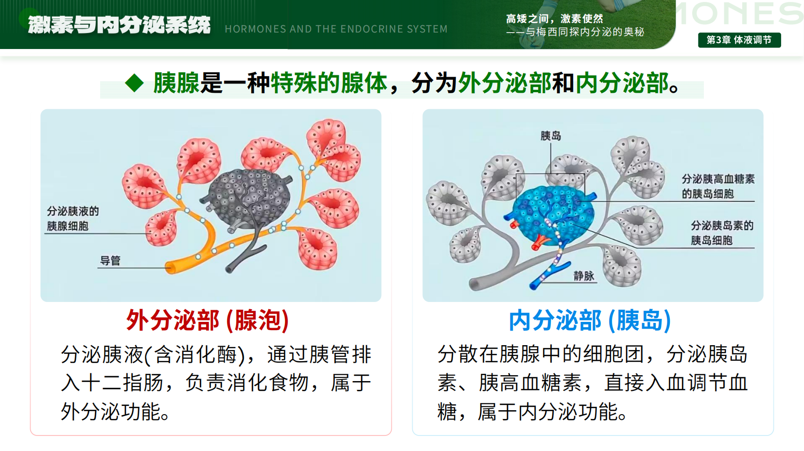 预览图 6