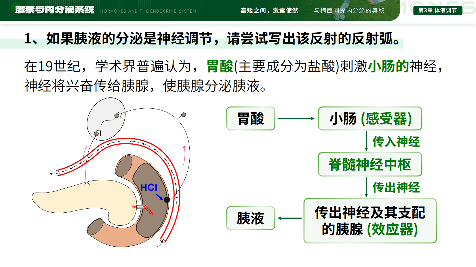 预览图 9