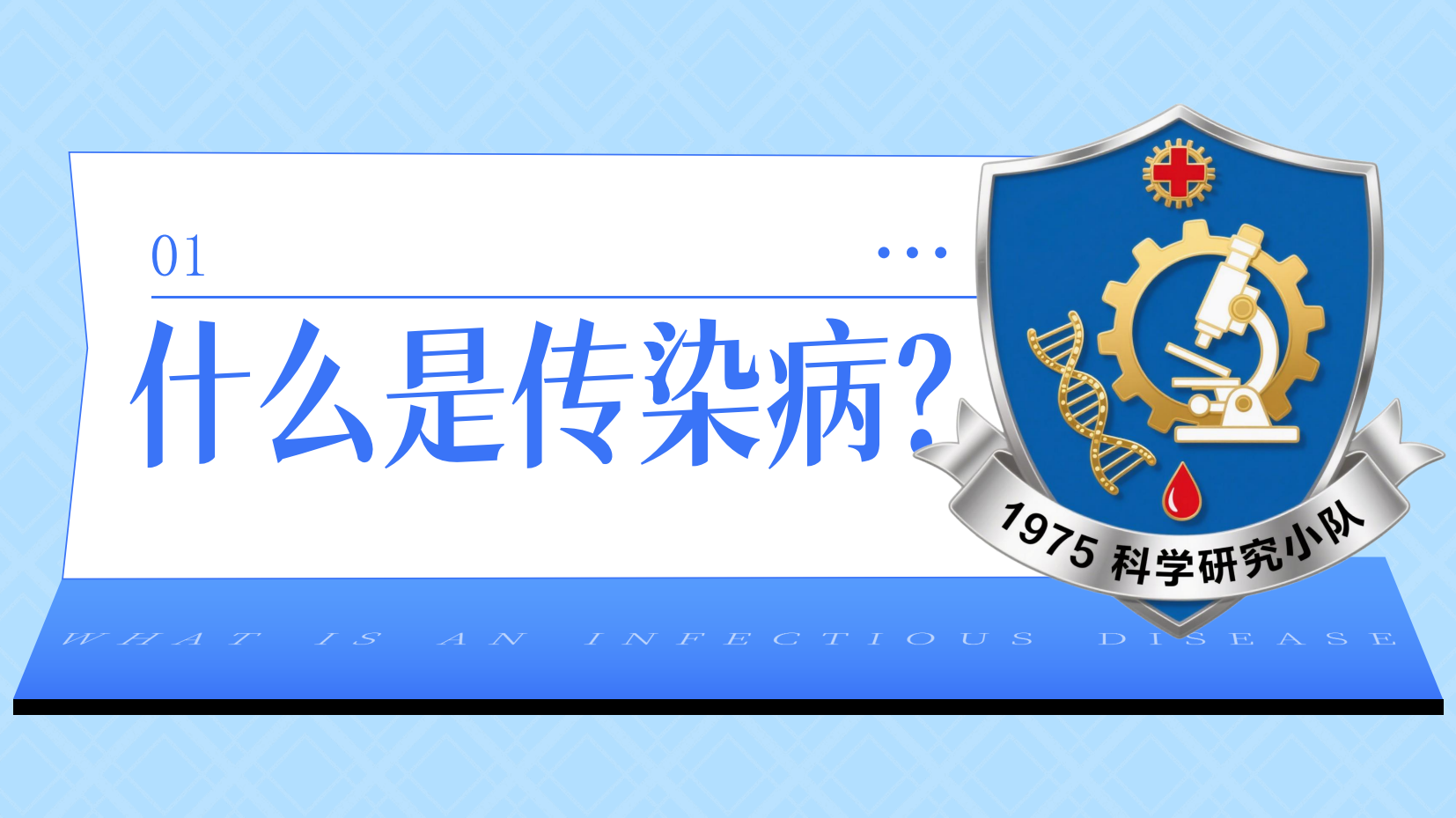 预览图 5
