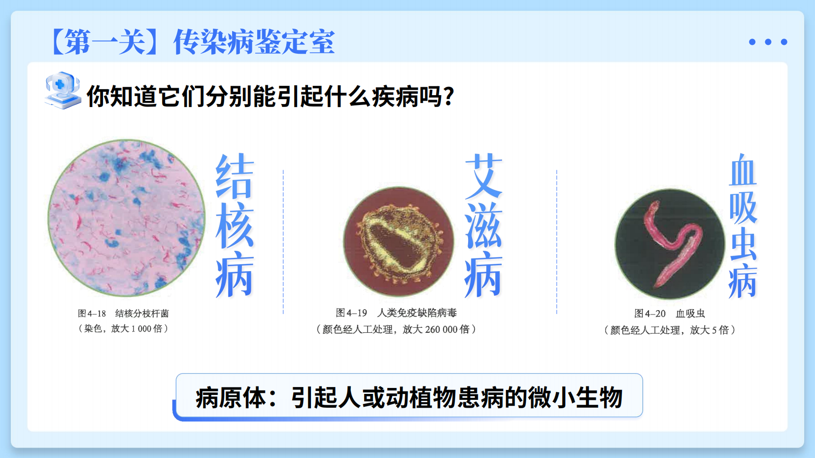 预览图 7