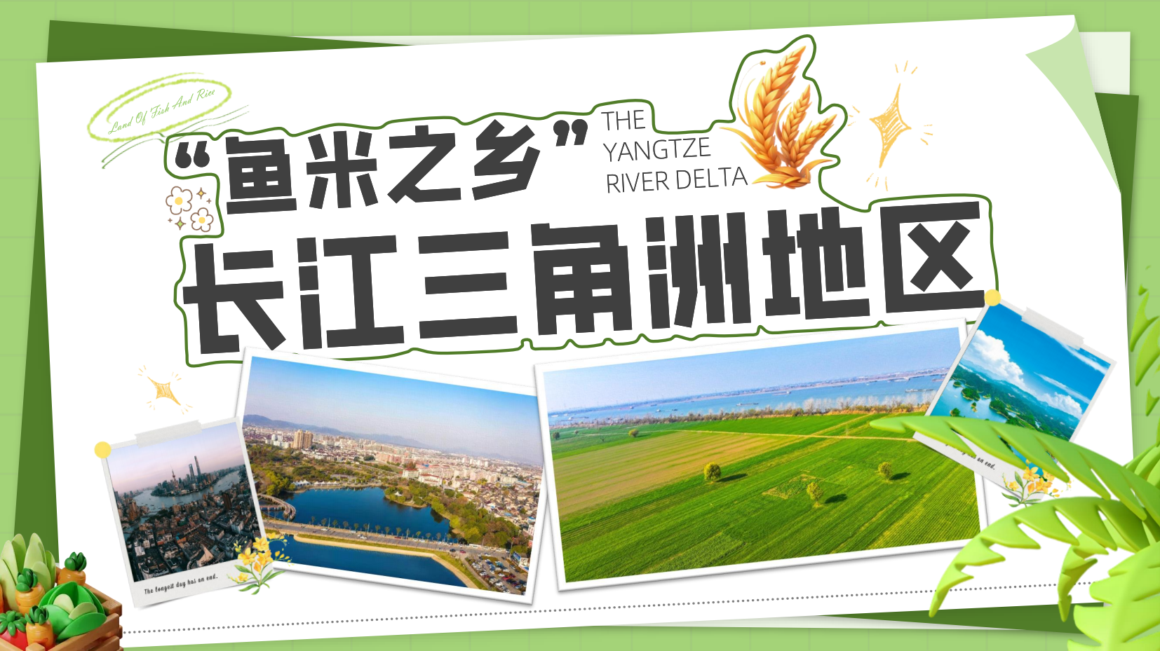 预览图 1