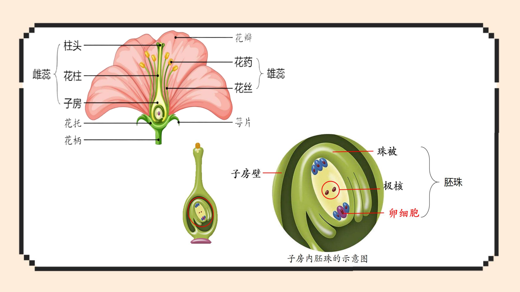 预览图 7