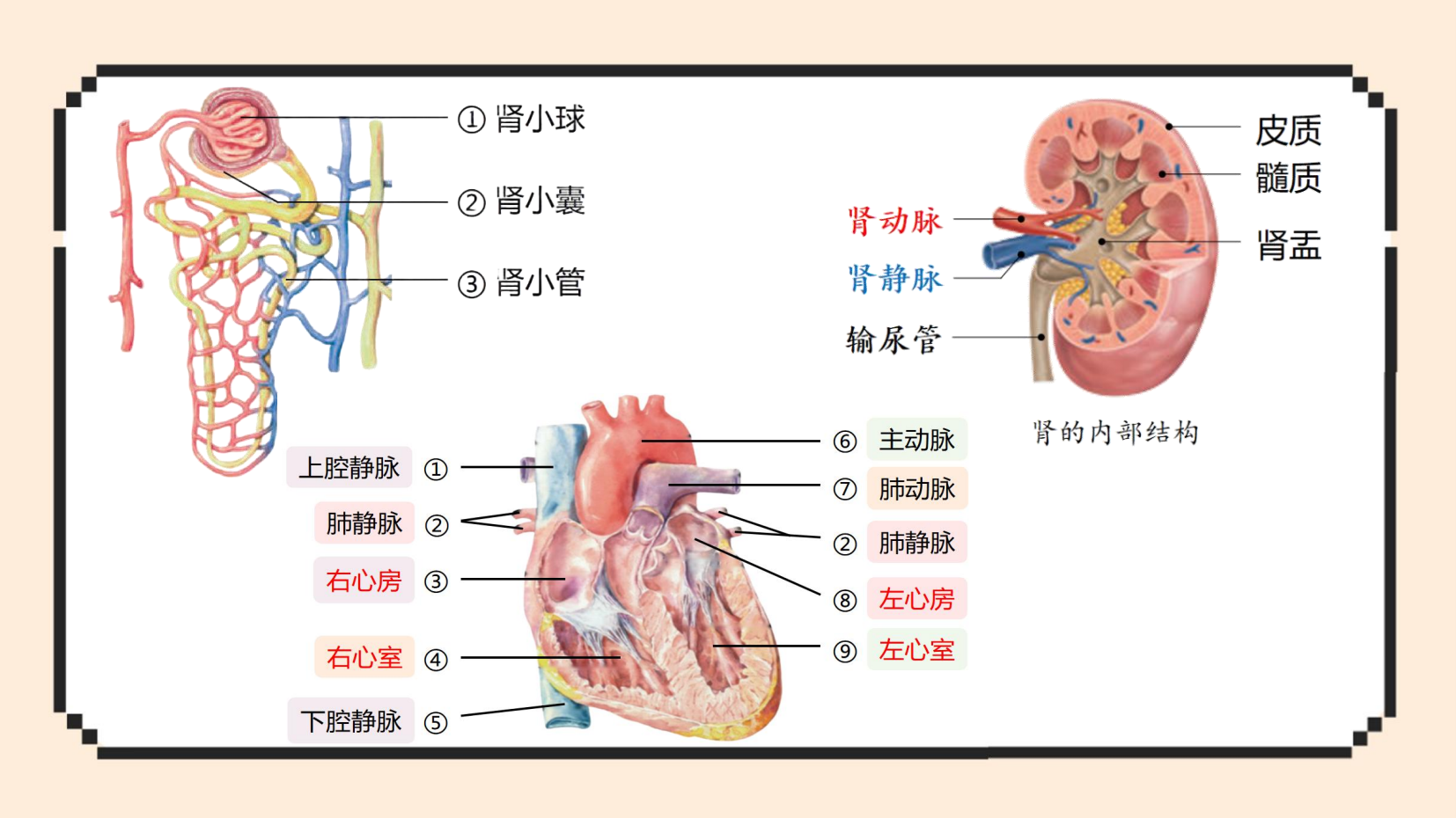 预览图 8