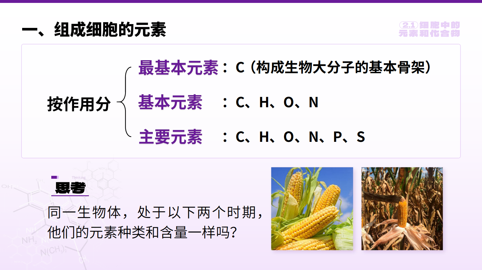 预览图 11