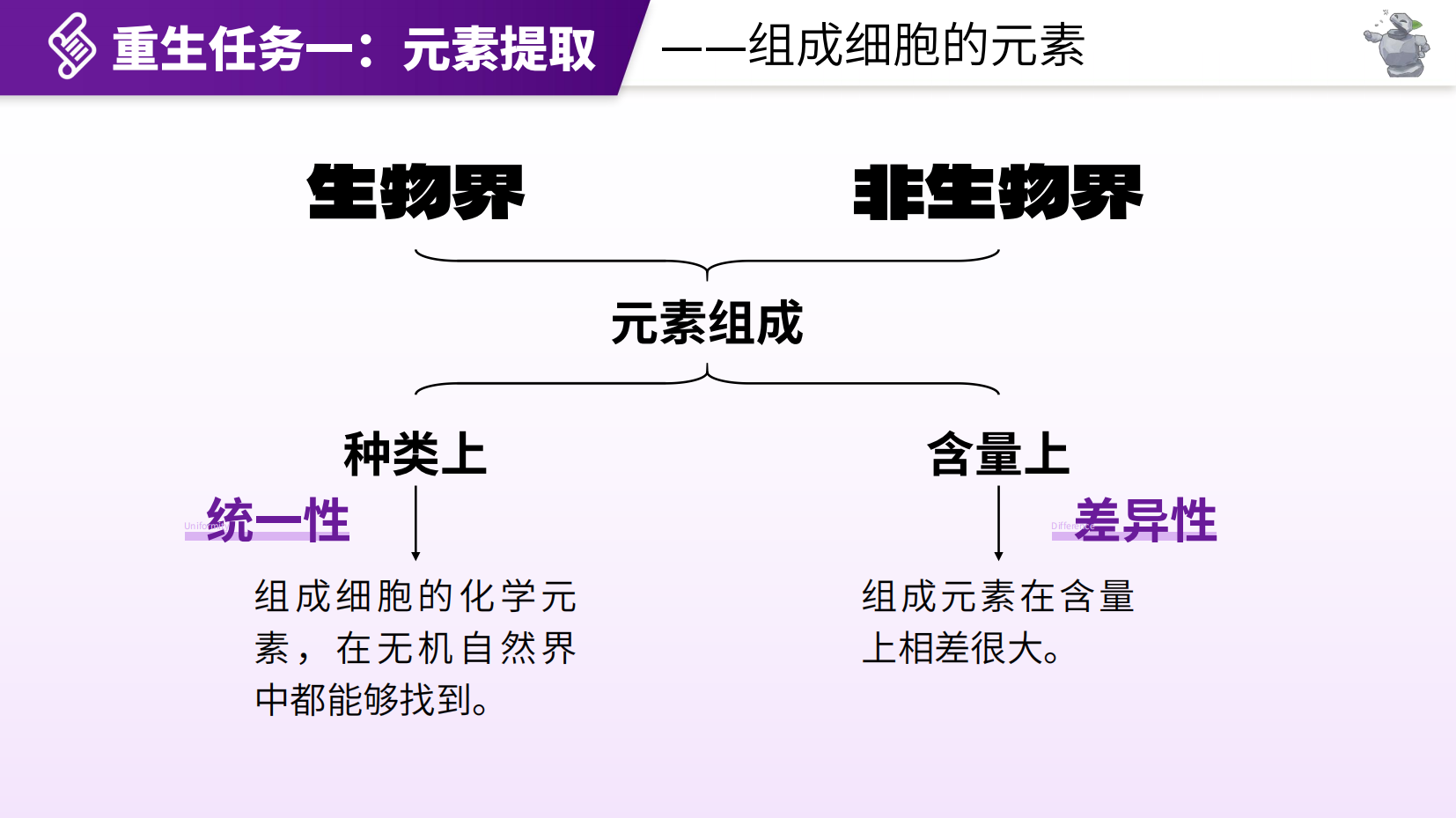 预览图 6