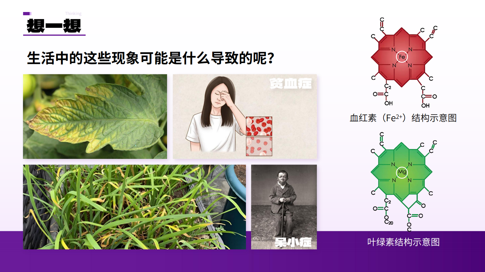 预览图 8