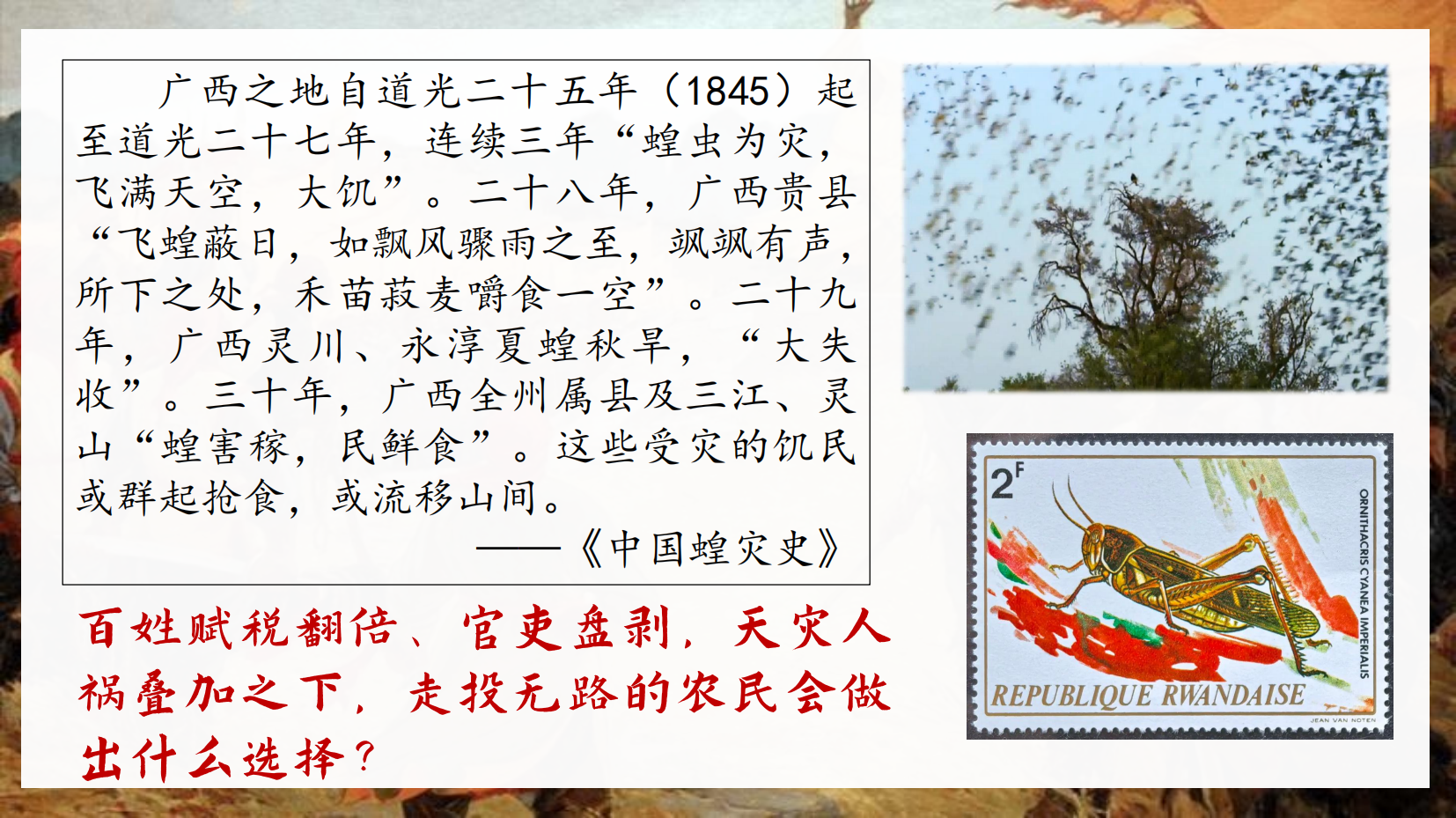 预览图 1