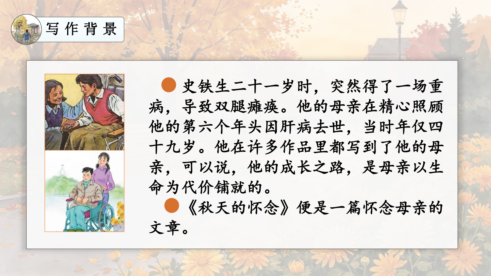 预览图 11