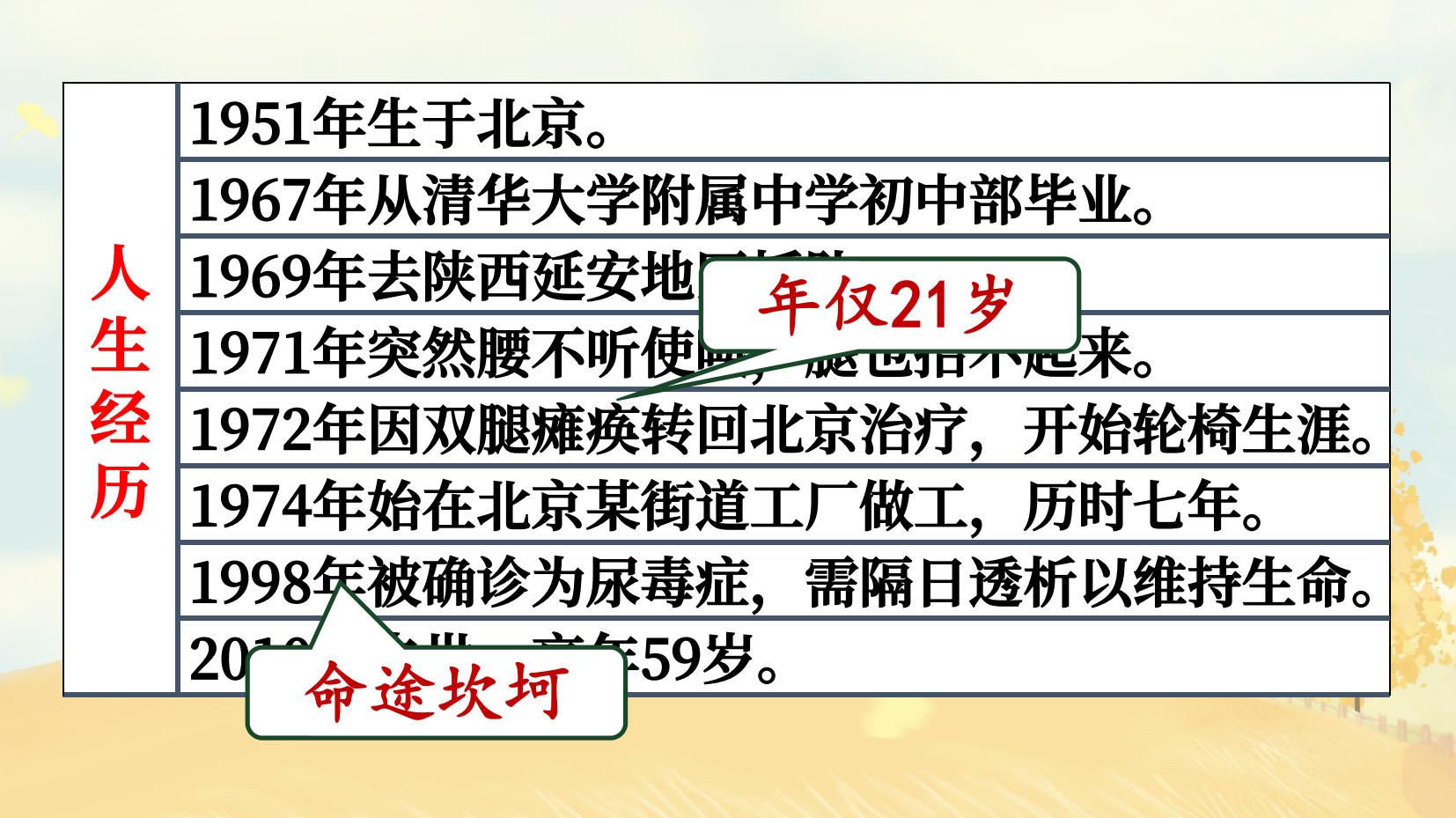 预览图 5