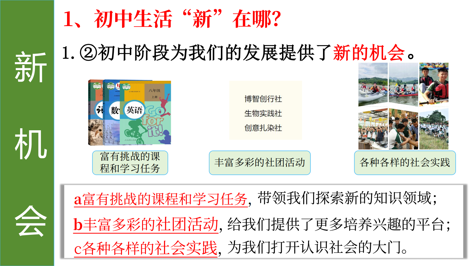 预览图 11