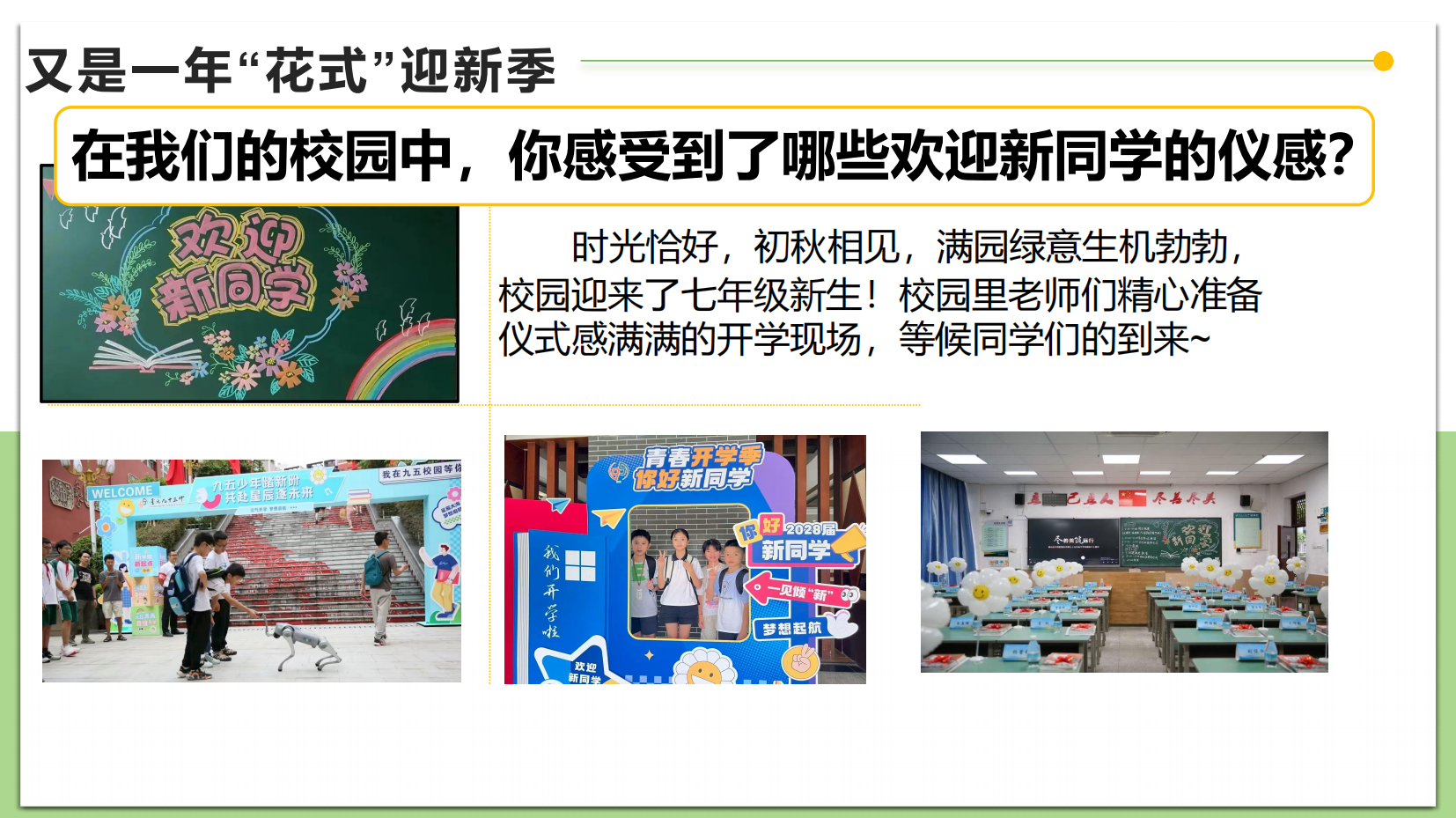 预览图 4