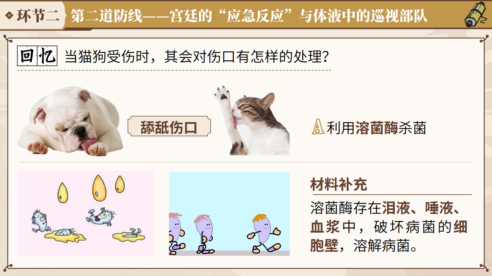 预览图 11