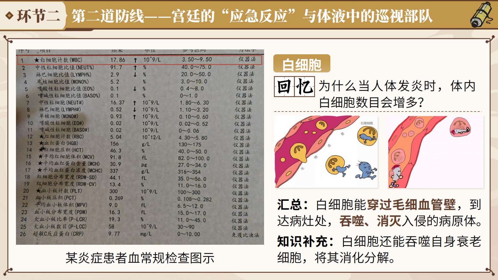 预览图 12