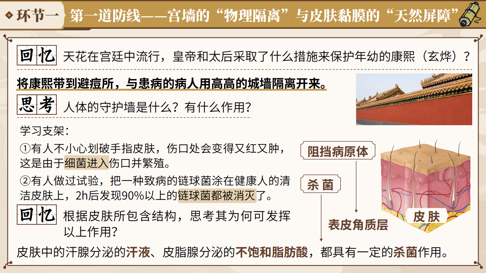 预览图 7