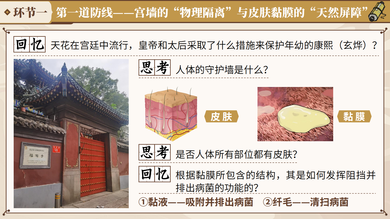 预览图 8