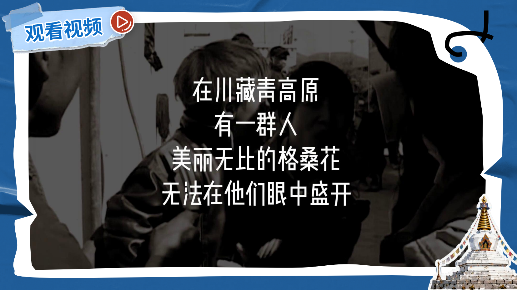预览图 13