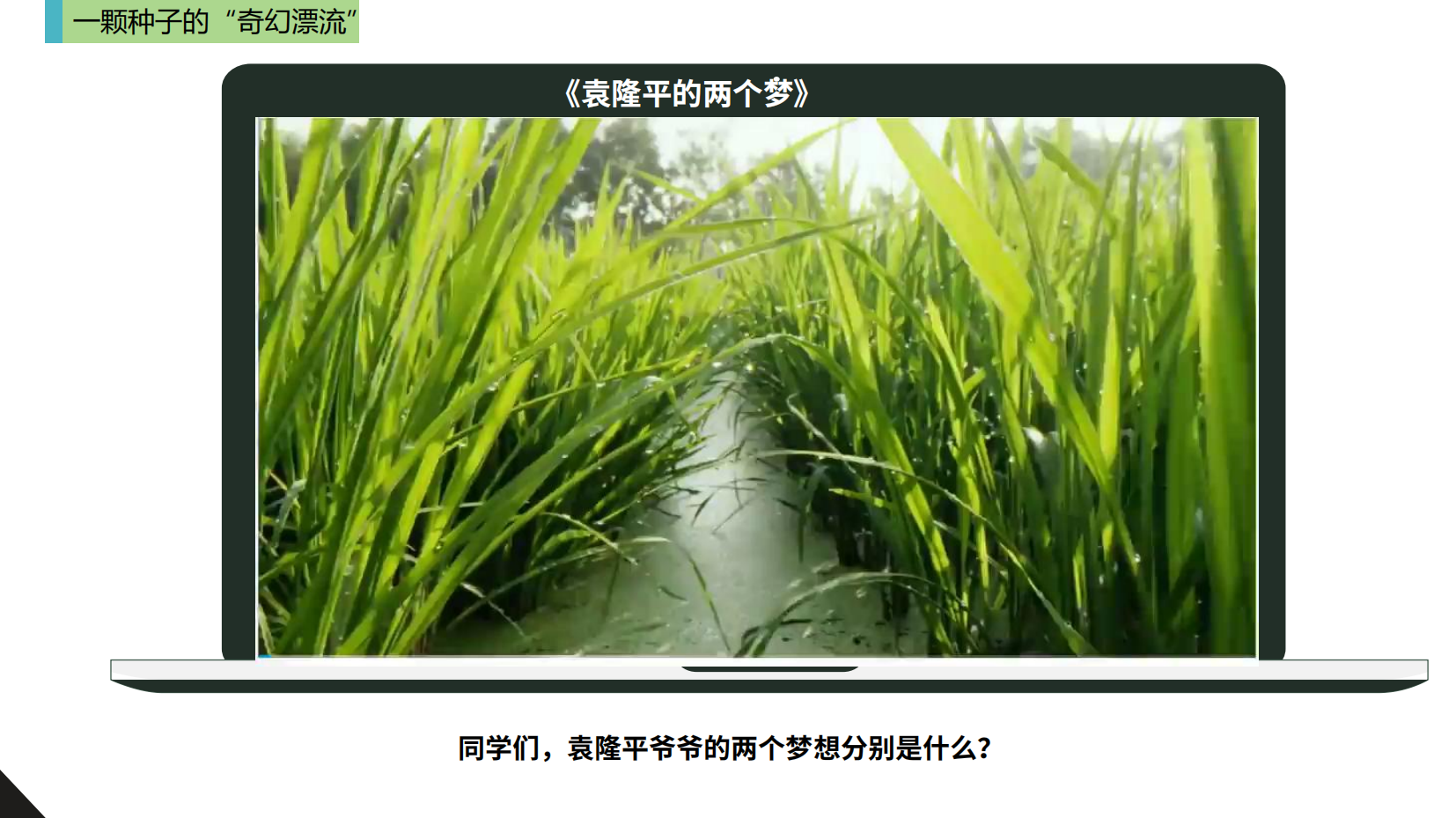 预览图 1
