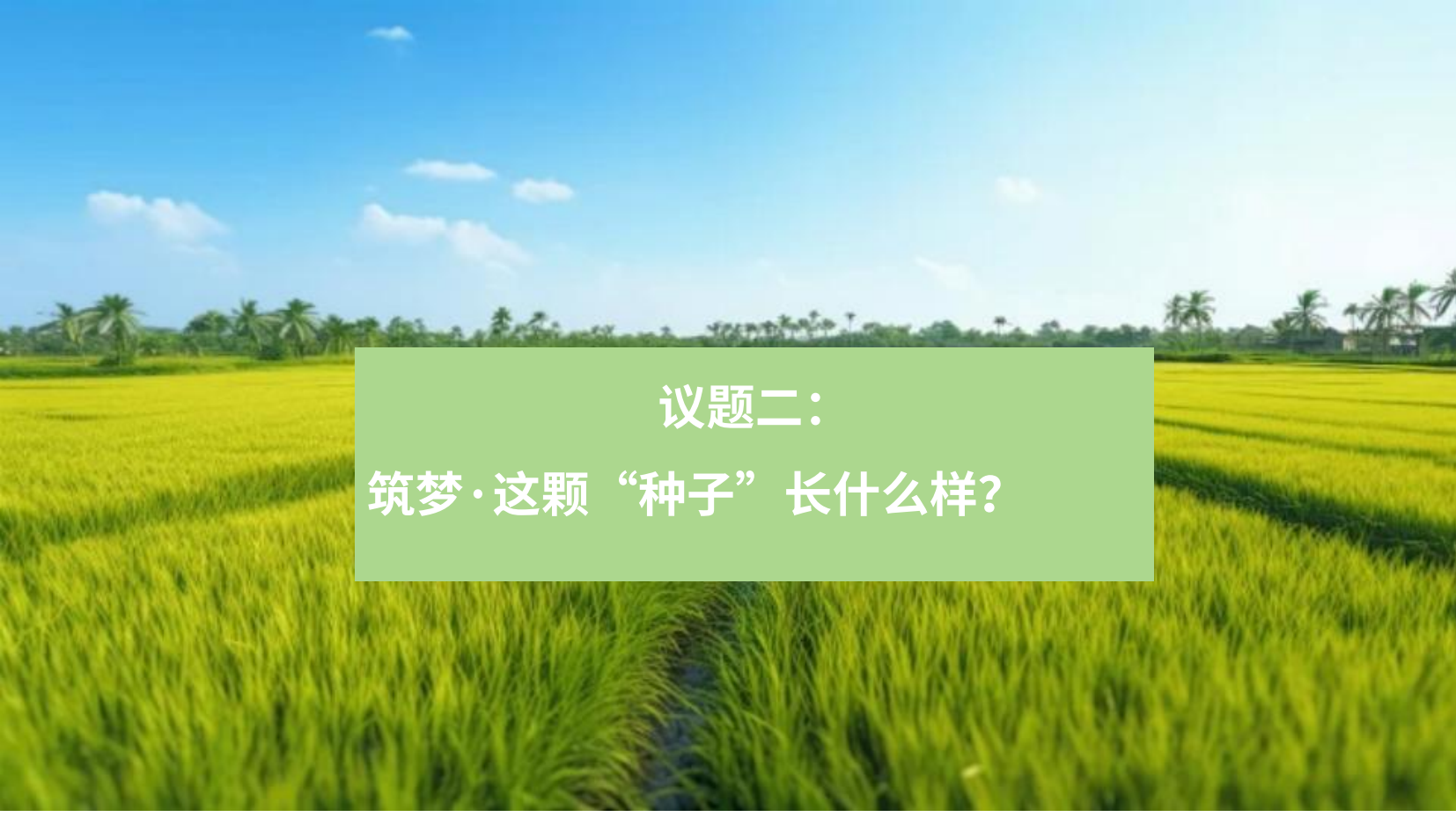 预览图 12