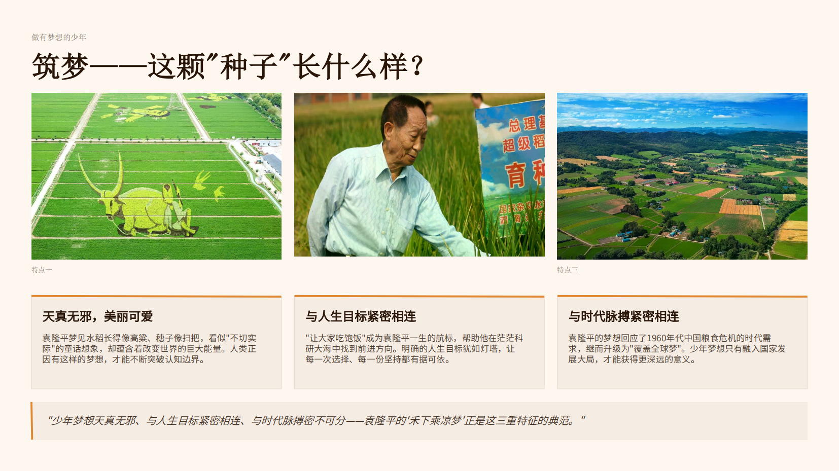 预览图 13