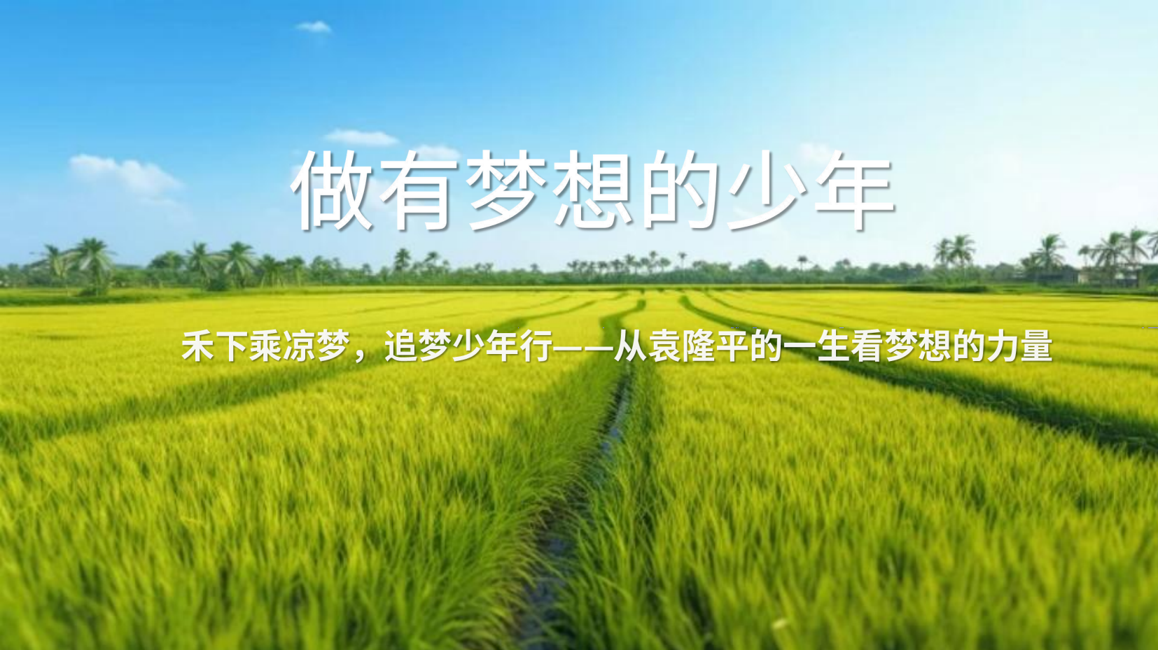 预览图 3