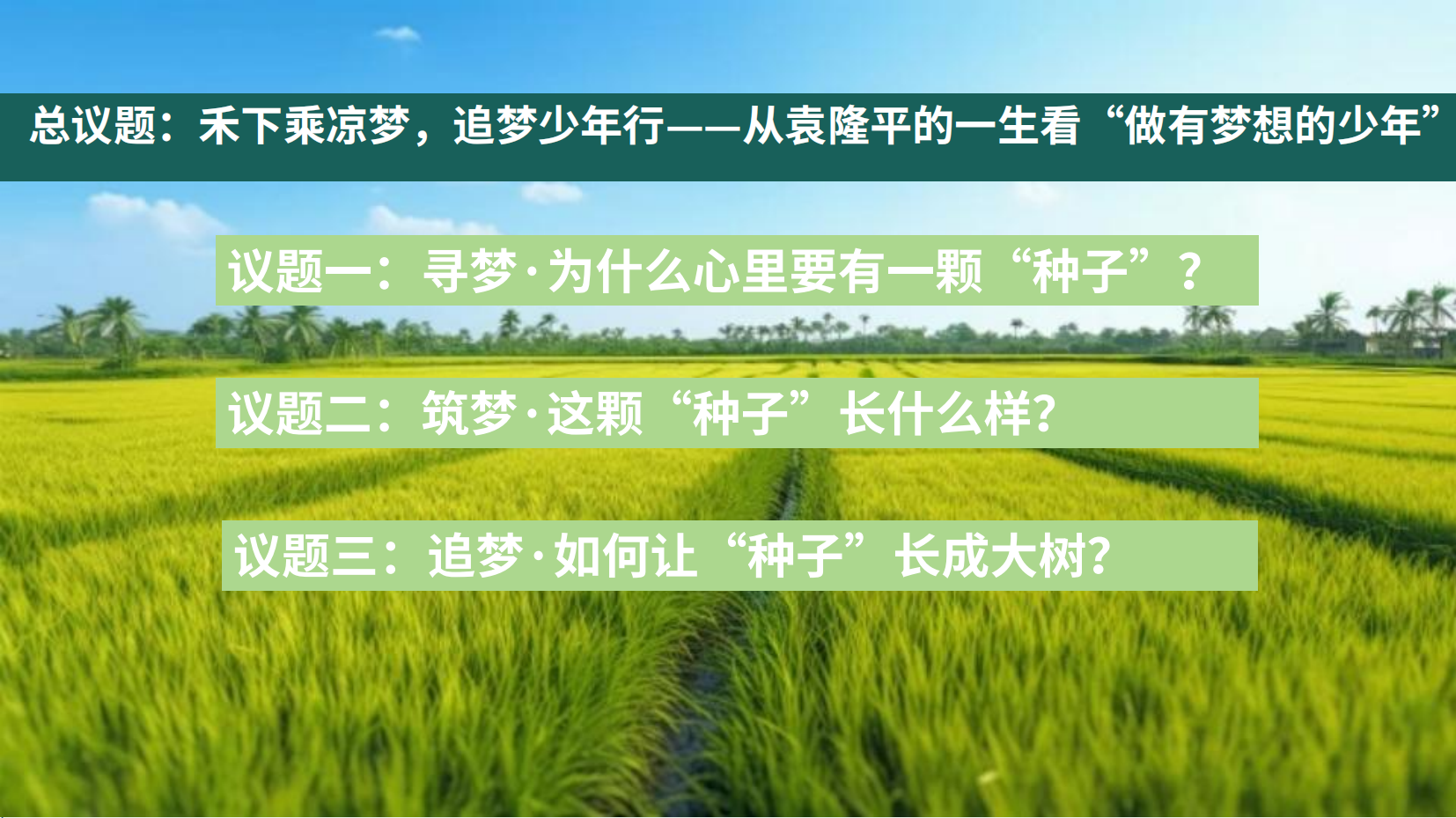 预览图 4