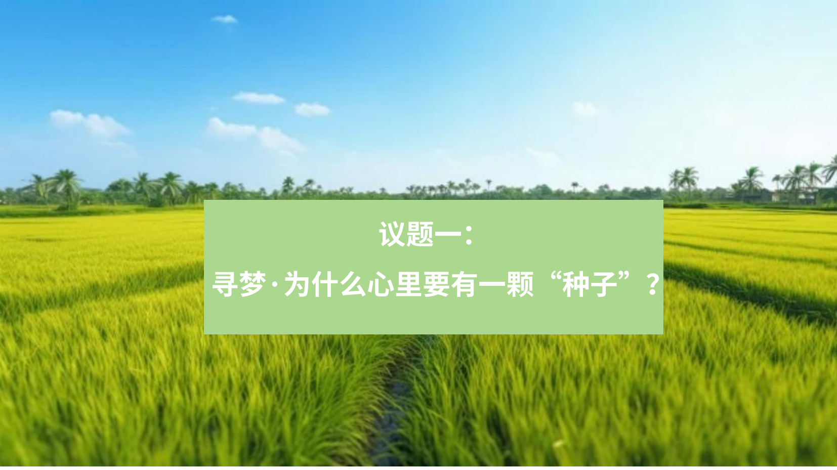 预览图 5