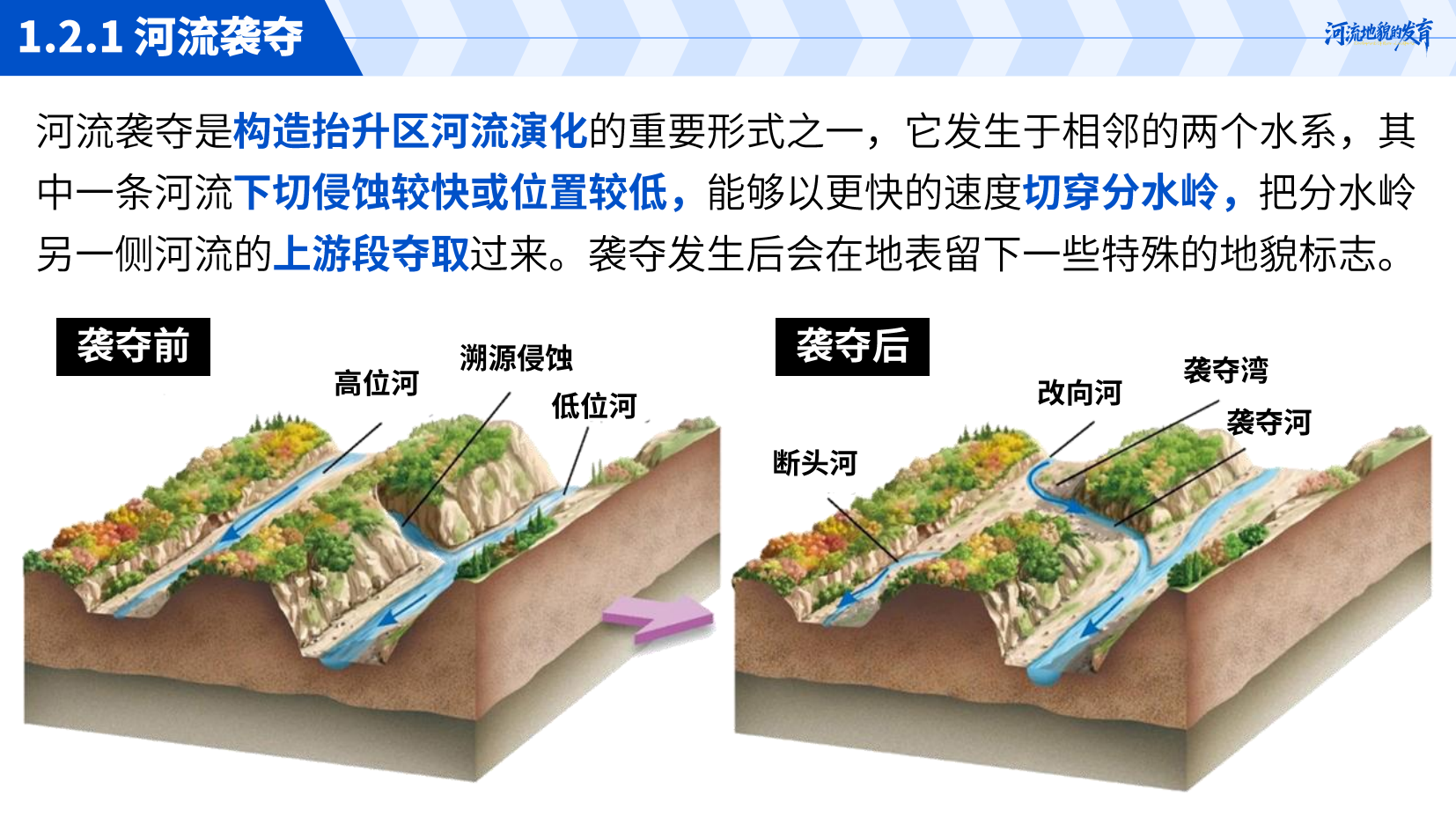预览图 11
