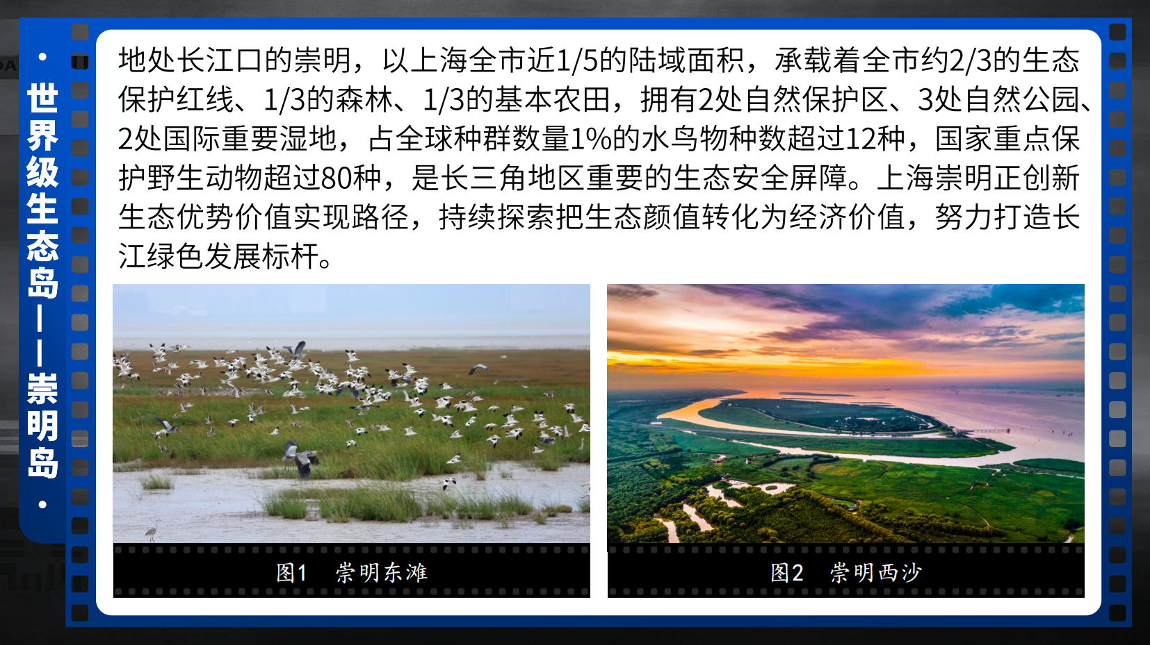 预览图 5