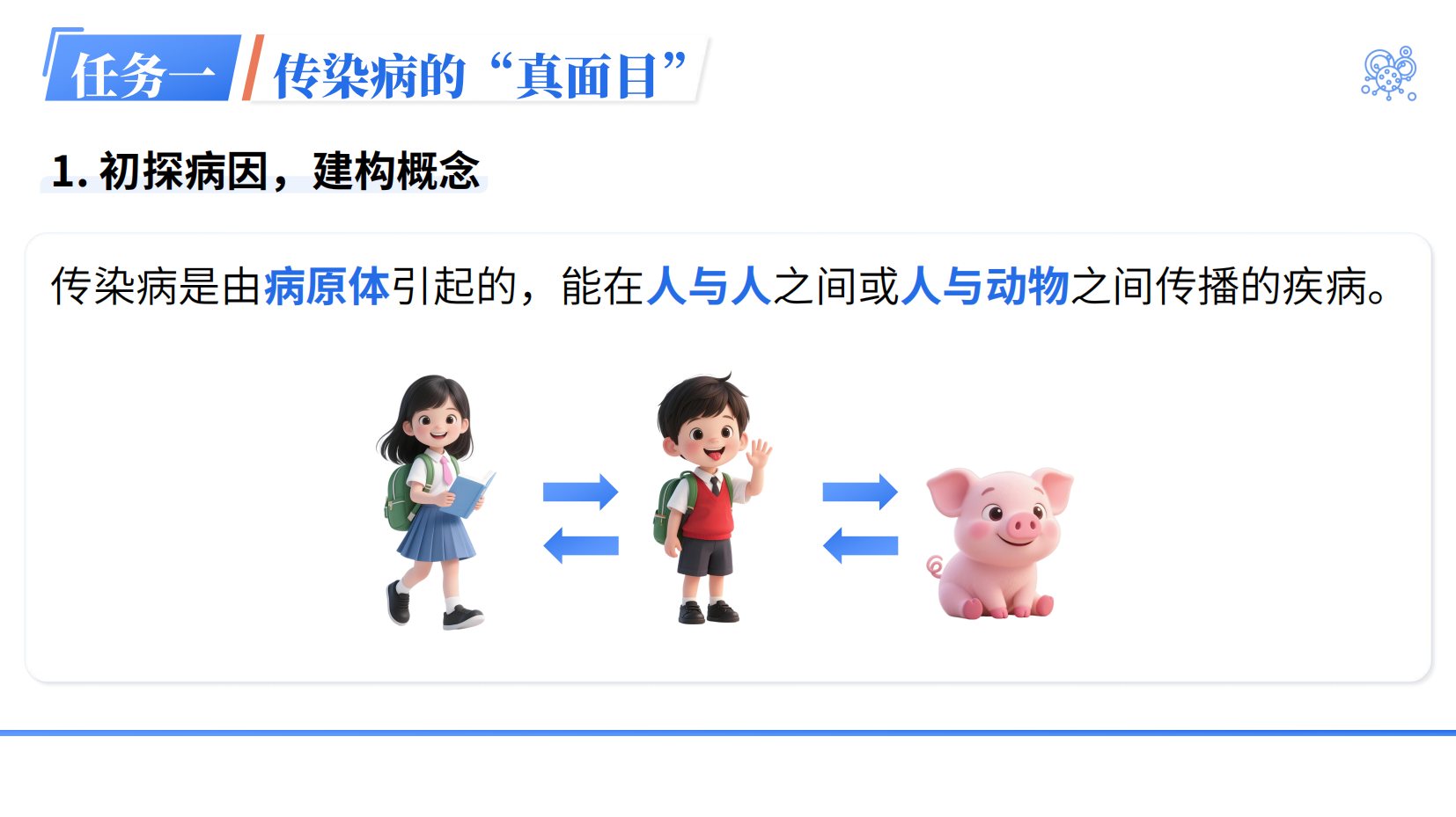 预览图 7