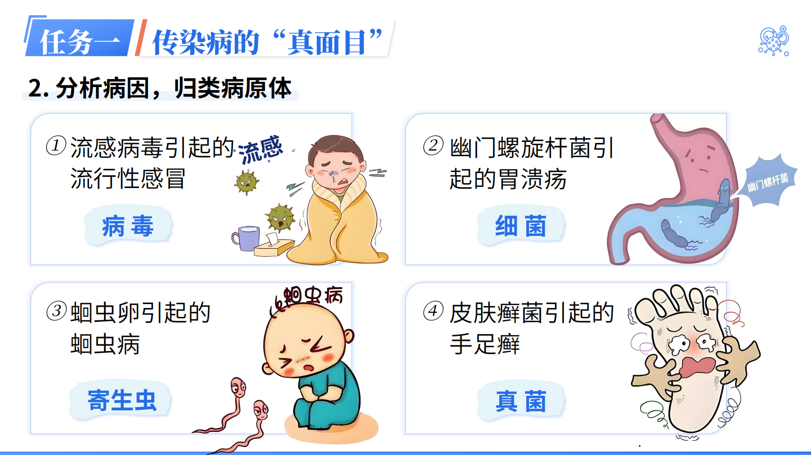 预览图 8