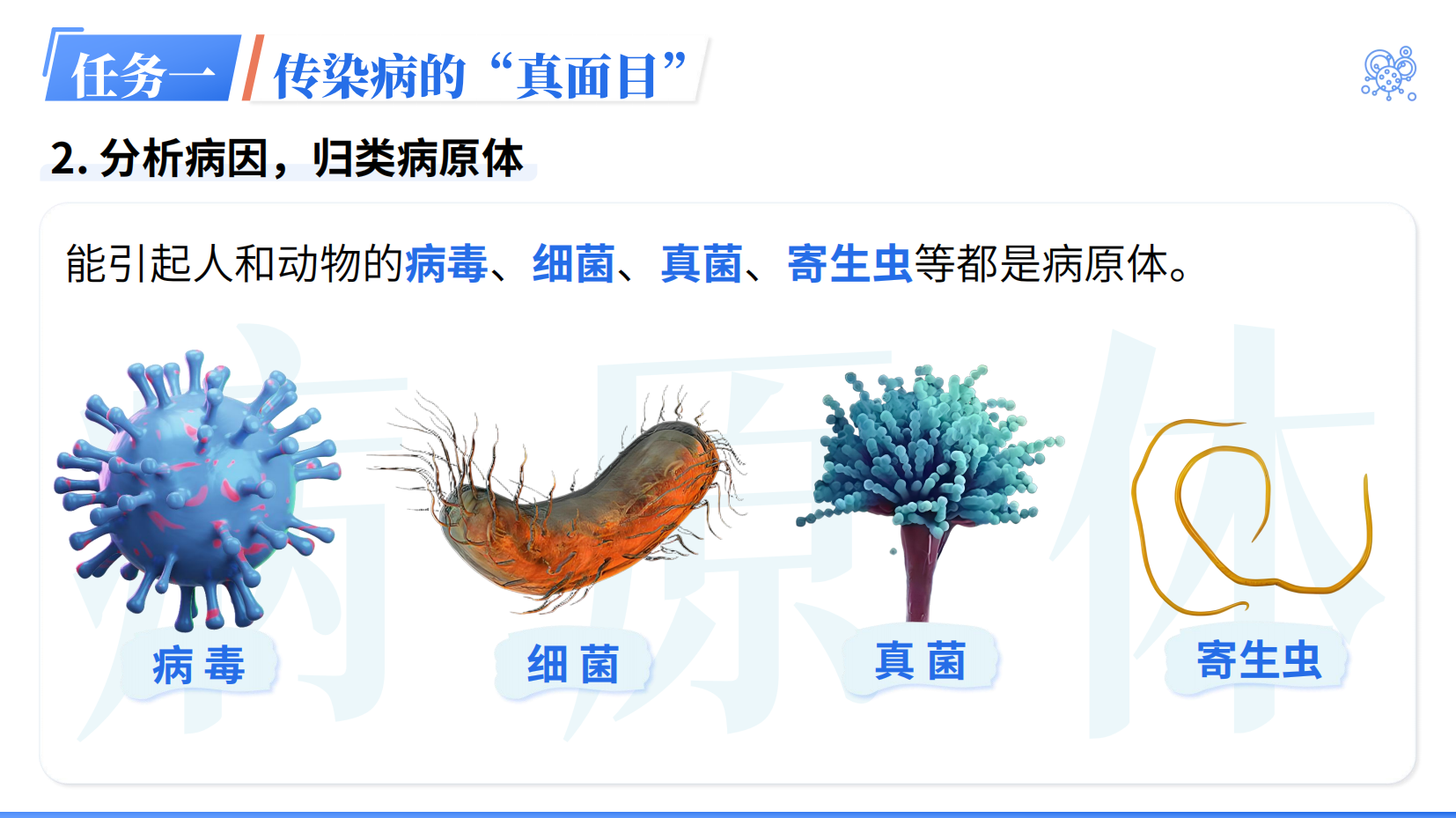 预览图 9