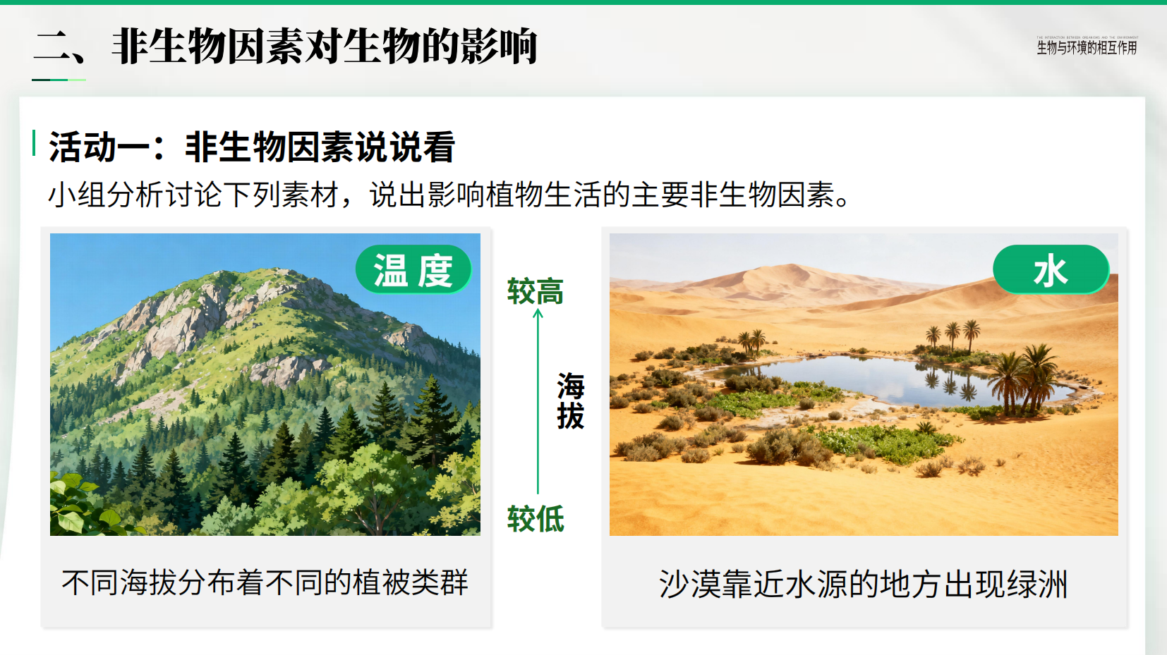 预览图 10