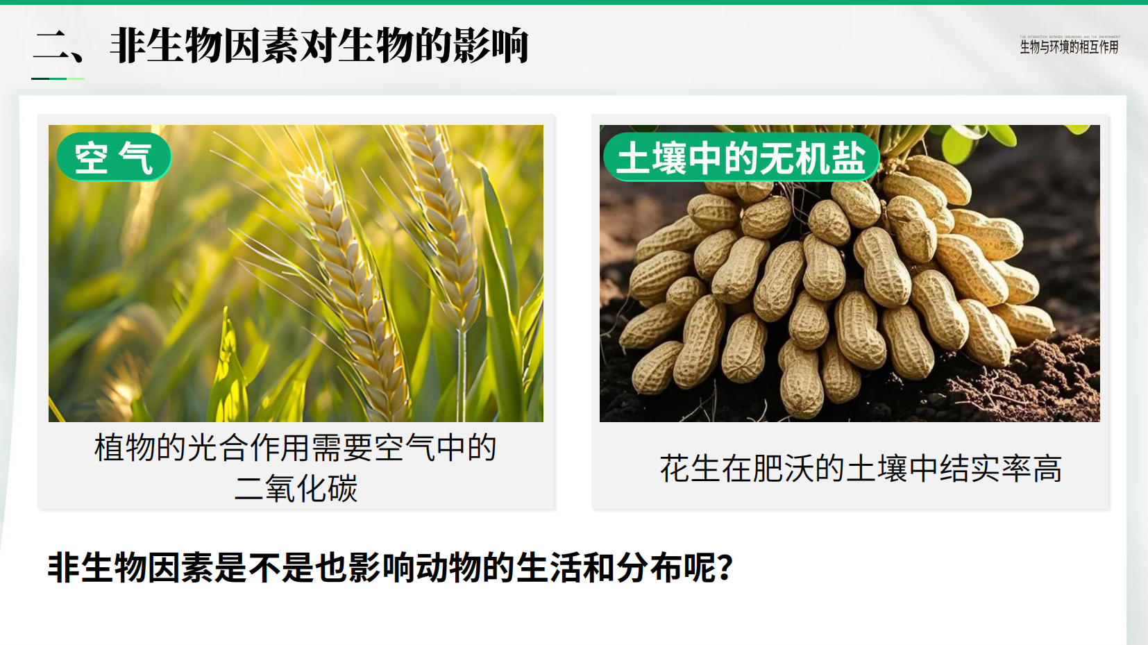 预览图 12