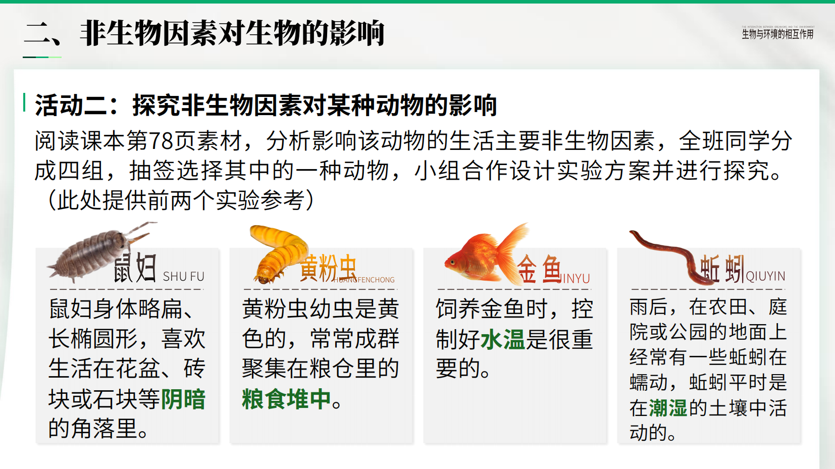 预览图 13